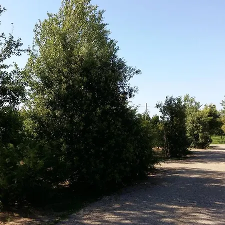 Bnatural Glamping Naturista/nudista Campeggio Baratti