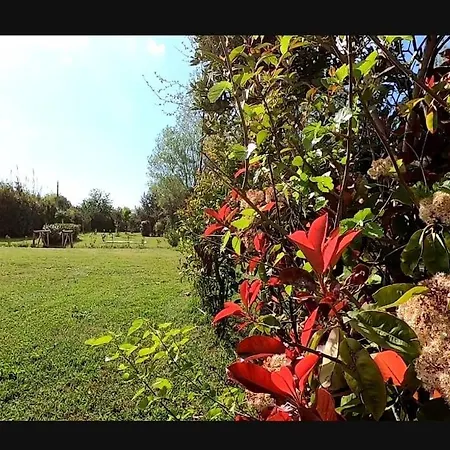Bnatural Glamping Naturista/nudista Campeggio Baratti